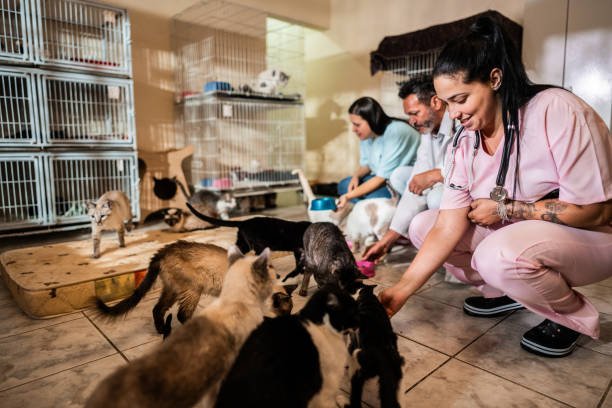Can adopting a rescued animal help reduce pet overpopulation?